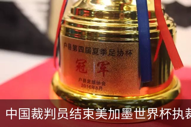 中国裁判员结束美加墨世界杯执裁任务