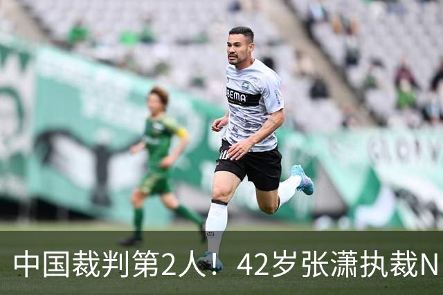 中国裁判第2人！42岁张潇执裁NBA夏联 李楠刘晓宇张云松观战