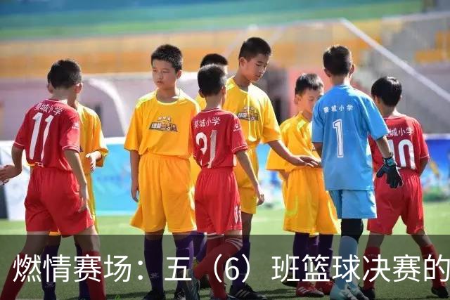 燃情赛场：五（6）班篮球决赛的荣耀之战