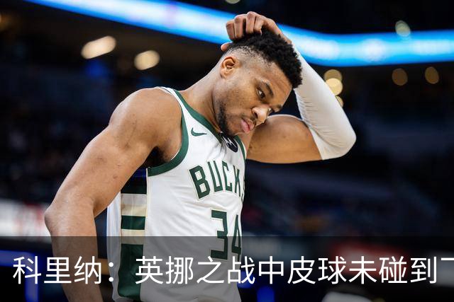 科里纳：英挪之战中皮球未碰到飞猫；克罗地亚球员碰到了皮球