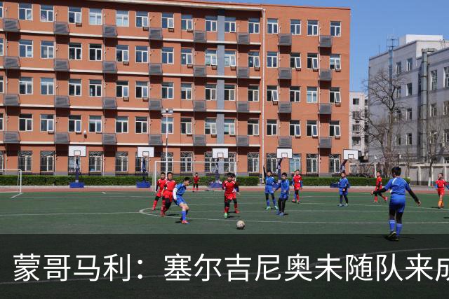 蒙哥马利：塞尔吉尼奥未随队来成都，林良铭的伤情有待确认